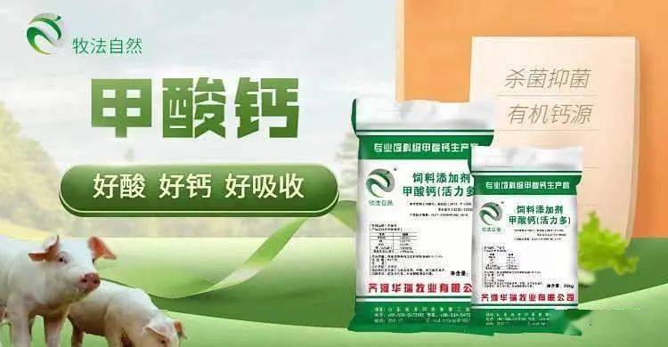 飼用酸化劑在保育豬飼料中的應用 提升利用率與降低料重比