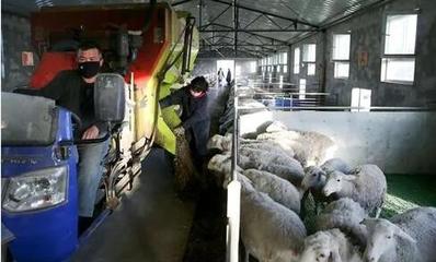 在脫貧大考中交出一份合格答卷——來自新疆和田地區(qū)脫貧攻堅(jiān)一線的戰(zhàn)報(bào)