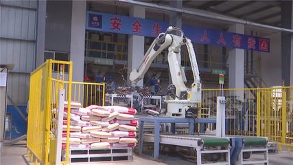 年產值10億元！湖北丹富仕飼料項目建成投產，為畜牧養殖注入強勁動力