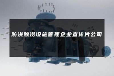 守護(hù)城市安瀾——記防洪除澇設(shè)施管理企業(yè)的責(zé)任與擔(dān)當(dāng)
