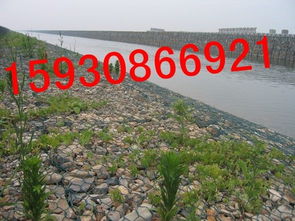筑牢生態(tài)屏障，守護(hù)江河安瀾——探析格賓網(wǎng)技術(shù)在防洪護(hù)坡及設(shè)施管理中的應(yīng)用
